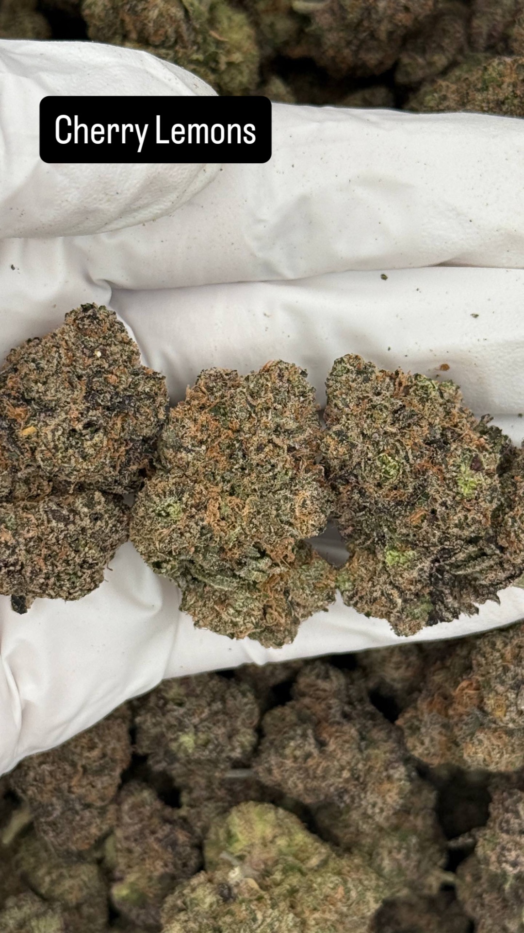 Cherry Lemon